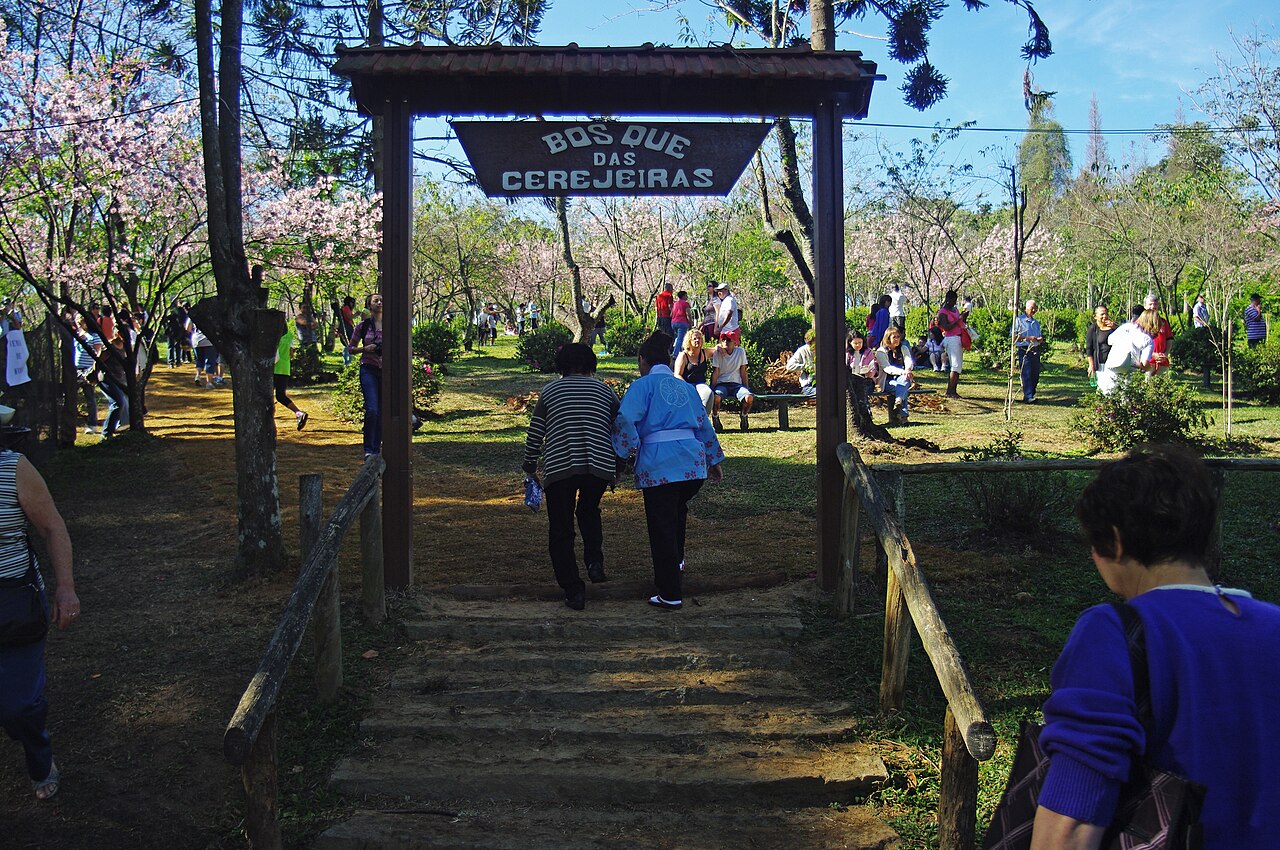 Parque do Carmo